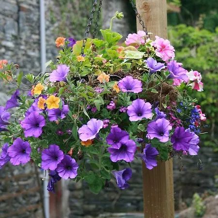 School House And Tea Garden Hawkshead