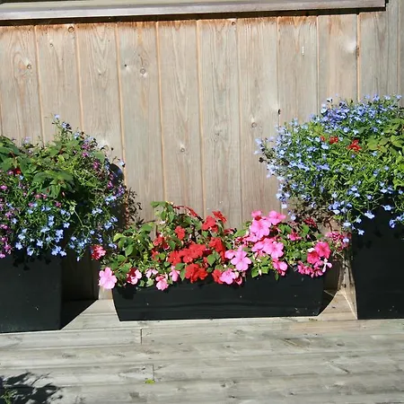 School House And Tea Garden Frühstückspension Hawkshead